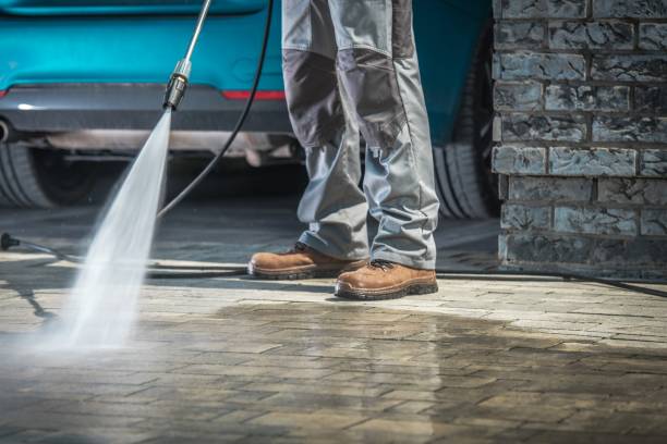 Best Fleet Vehicle Washing  in Porter Heights, TX
