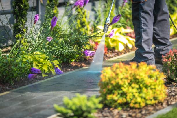 Best Animal Enclosure Cleaning  in Porter Heights, TX