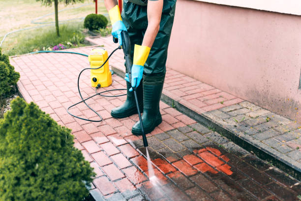 Best Soft Washing  in Porter Heights, TX