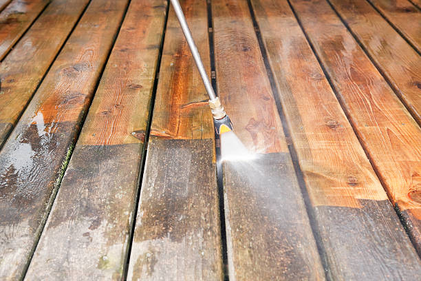 Best Solar Panel Cleaning  in Porter Heights, TX